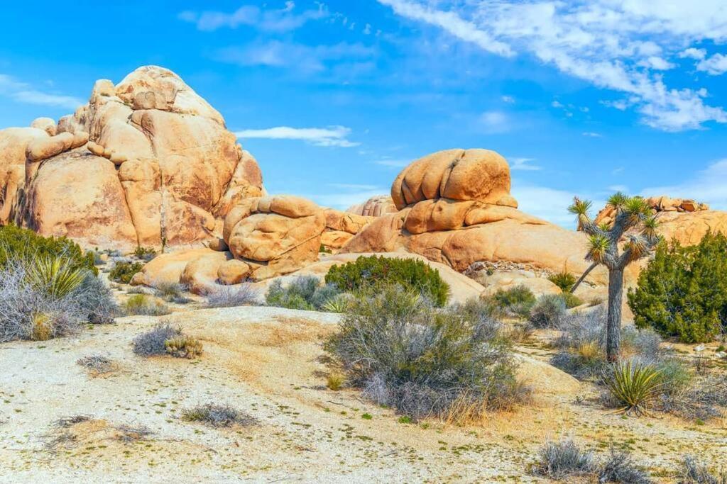 Butterfly House: A Tranquil Haven In Joshua Tree Villa Dış mekan fotoğraf