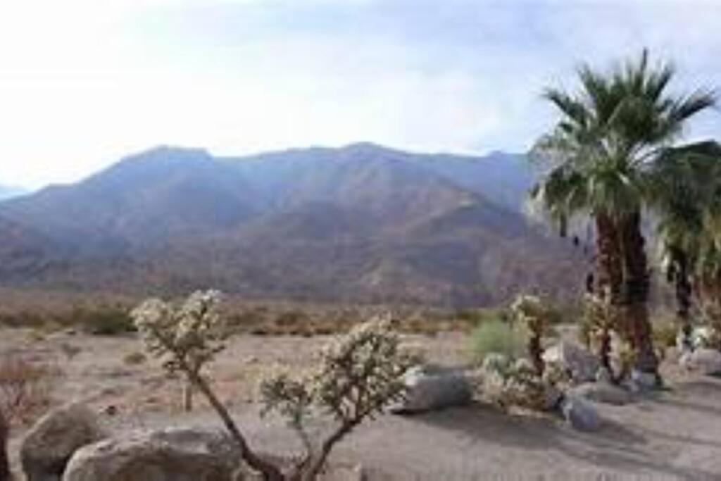 Butterfly House: A Tranquil Haven In Joshua Tree Villa Dış mekan fotoğraf